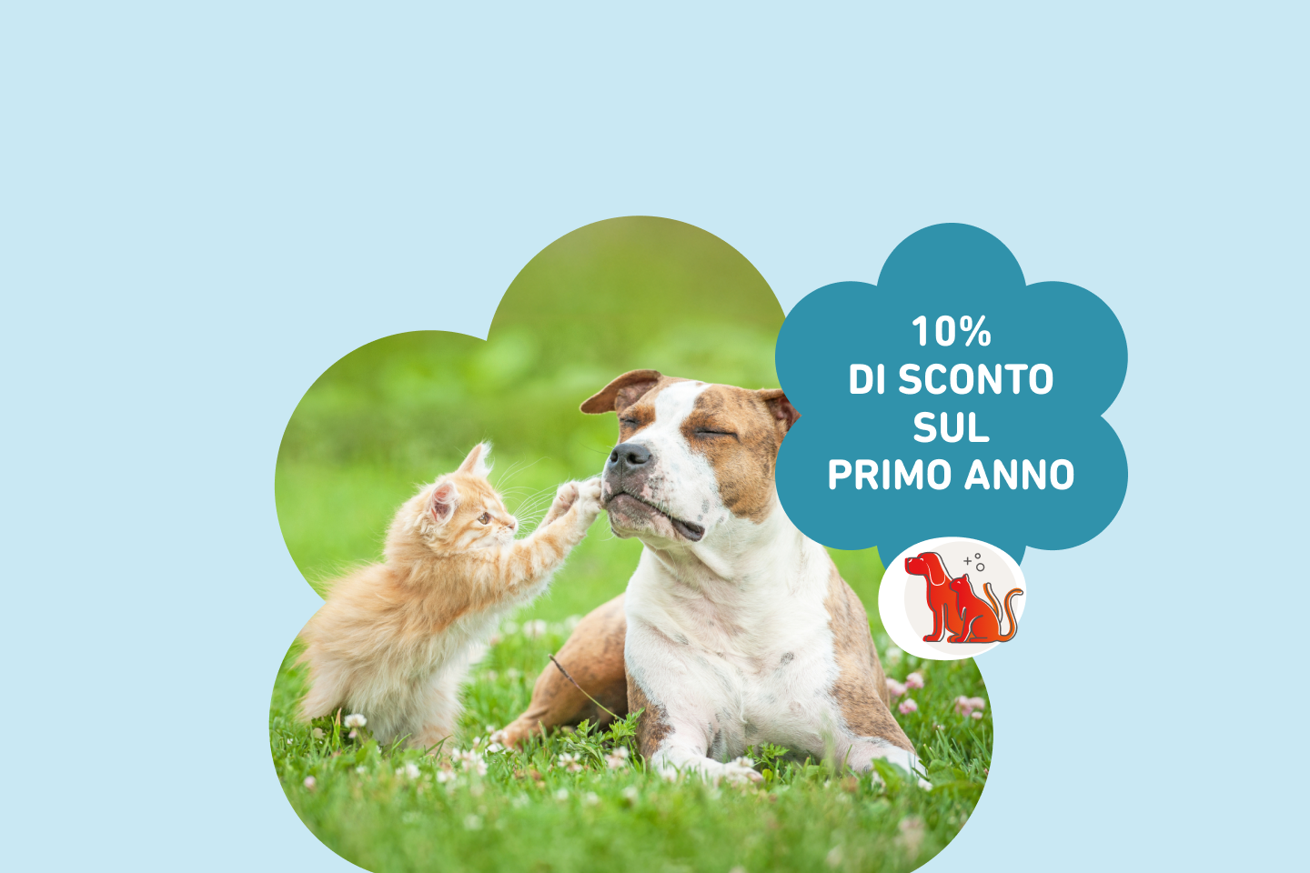 Assicurazione Animali Domestici